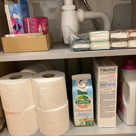 Korttelin Paeaessae Olavinlinnasta Διαμέρισμα Savonlinna