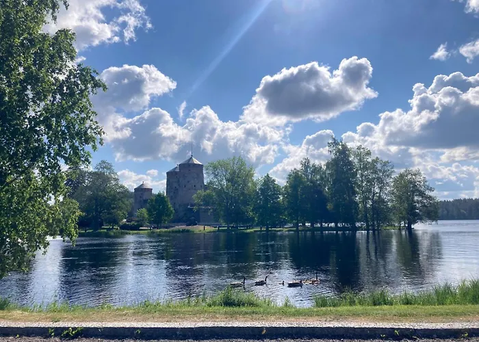 公寓 Korttelin Paeaessae Olavinlinnasta *