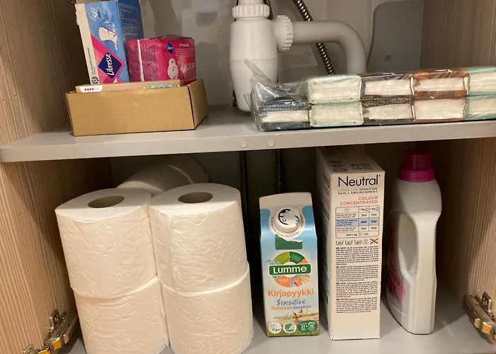 Korttelin Paeaessae Olavinlinnasta 公寓 萨翁林纳