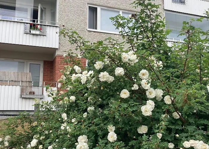 Korttelin Paeaessae Olavinlinnasta 公寓 *